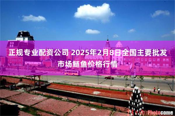 正规专业配资公司 2025年2月8日全国主要批发市场鲢鱼价格行情