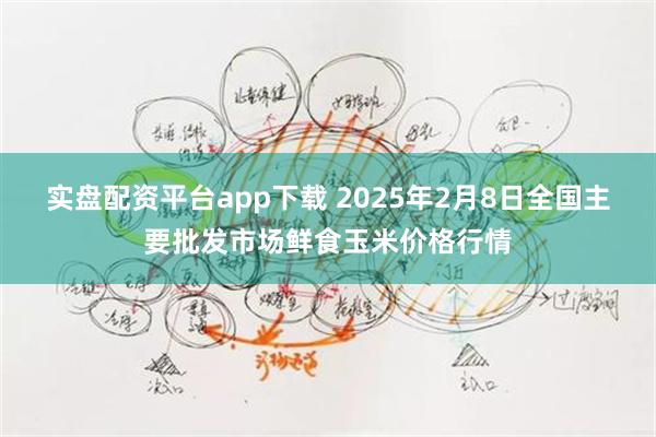 实盘配资平台app下载 2025年2月8日全国主要批发市场鲜食玉米价格行情