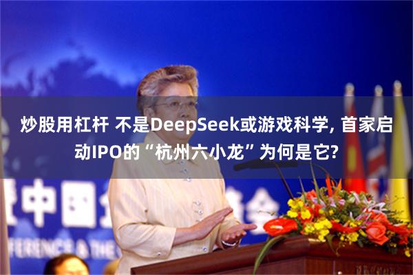 炒股用杠杆 不是DeepSeek或游戏科学, 首家启动IPO的“杭州六小龙”为何是它?